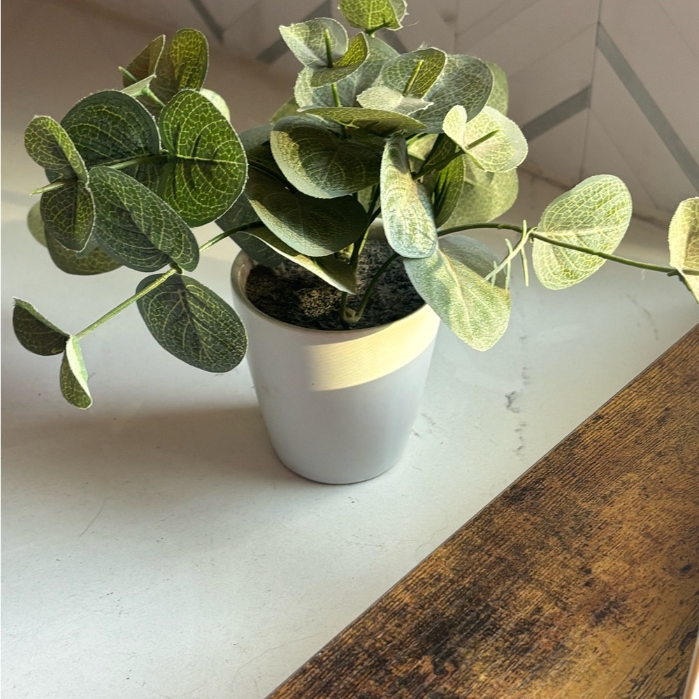 Artificial Eucalyptus Plant in White Pot